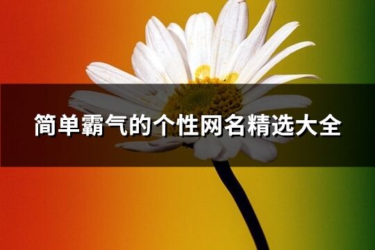 简单霸气的个性网名精选大全(共381个)