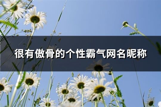 很有傲骨的个性霸气网名昵称(优选195个)