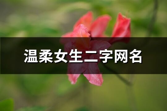 温柔女生二字网名(478个)