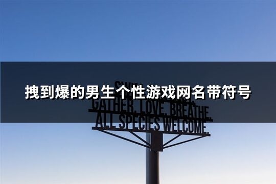 拽到爆的男生个性游戏网名带符号(精选94个)