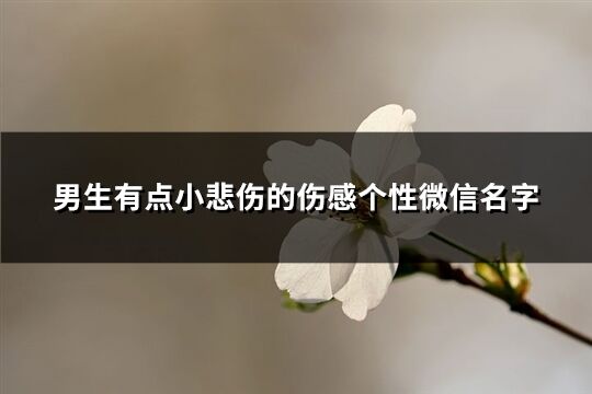 男生有点小悲伤的伤感个性微信名字(优选877个)