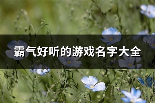 霸气好听的游戏名字大全(精选668个)