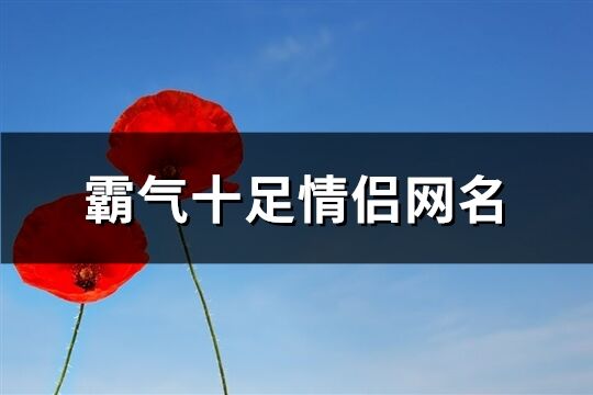 霸气十足情侣网名(优选340个)