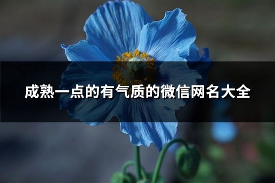 成熟一点的有气质的微信网名大全(共1294个)