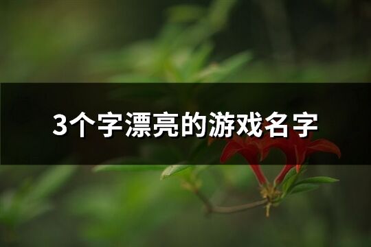 3个字漂亮的游戏名字(优选290个)