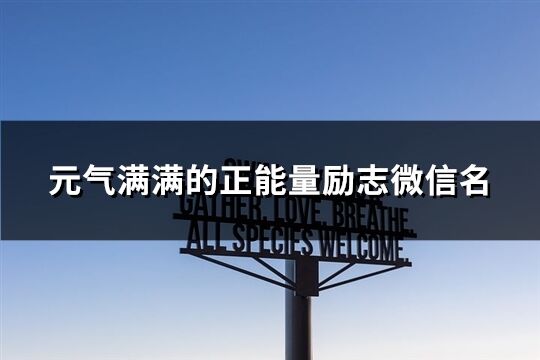 元气满满的正能量励志微信名(精选148个)