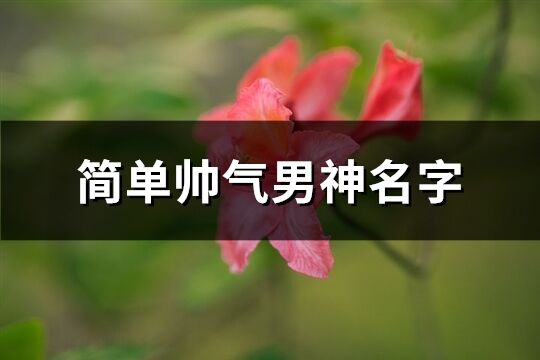 简单帅气男神名字(625个)