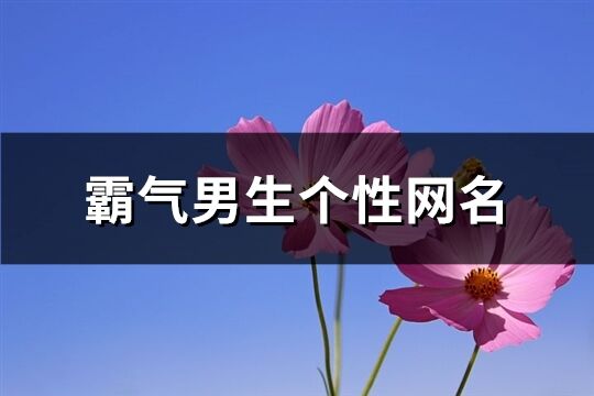 霸气男生个性网名(优选594个)