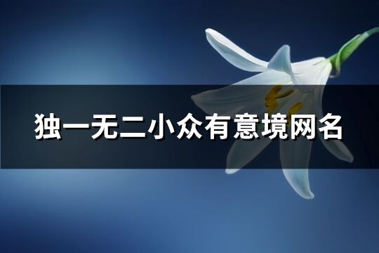 独一无二小众有意境网名(精选345个)