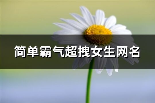 简单霸气超拽女生网名(207个)