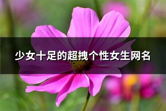 少女十足的超拽个性女生网名(精选140个)