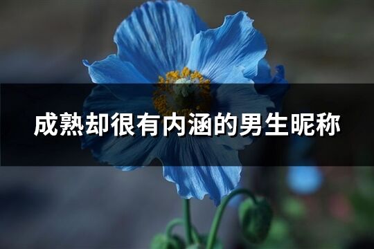 成熟却很有内涵的男生昵称(1054个)