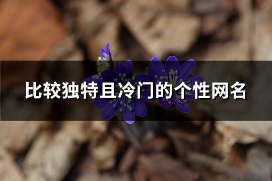 比较独特且冷门的个性网名(优选208个)