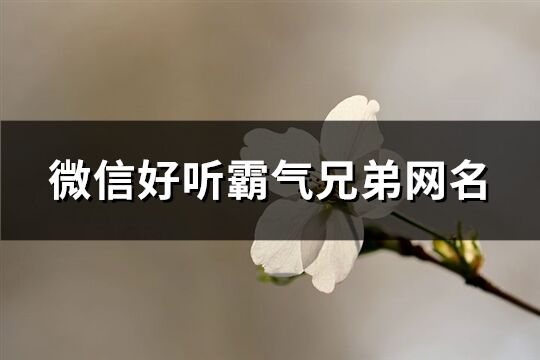 微信好听霸气兄弟网名(72个)