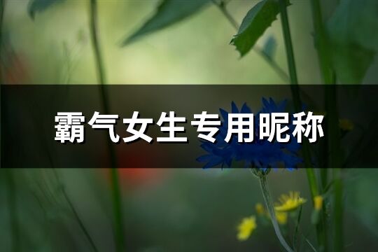 霸气女生专用昵称(优选555个)