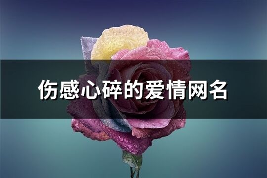 伤感心碎的爱情网名(138个)