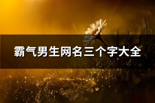 霸气男生网名三个字大全(优选204个)