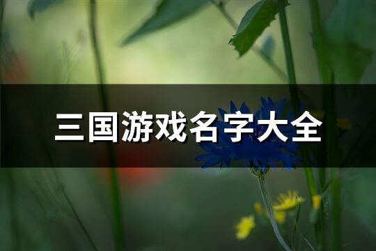 三国游戏名字大全(385个)