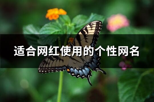 适合网红使用的个性网名(322个)