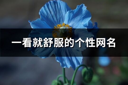 一看就舒服的个性网名(455个)