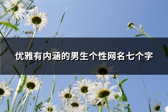 优雅有内涵的男生个性网名七个字(精选178个)