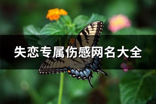 失恋专属伤感网名大全(574个)