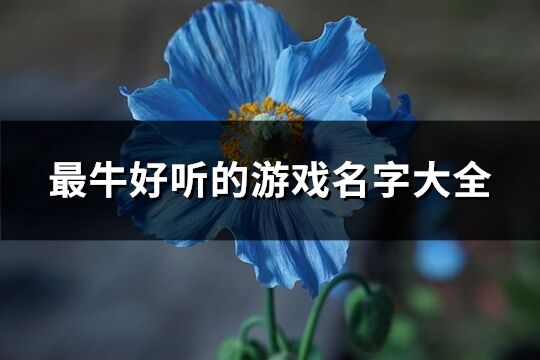 最牛好听的游戏名字大全(611个)