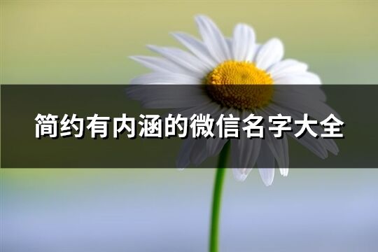 简约有内涵的微信名字大全(精选416个)