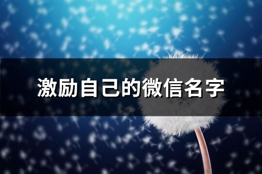 激励自己的微信名字(优选291个)