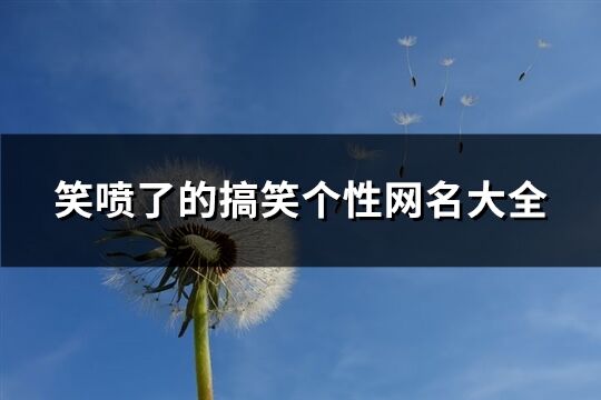 笑喷了的搞笑个性网名大全(精选242个)