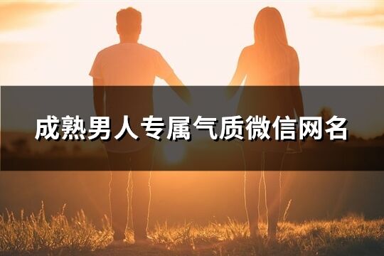 成熟男人专属气质微信网名(共1434个)