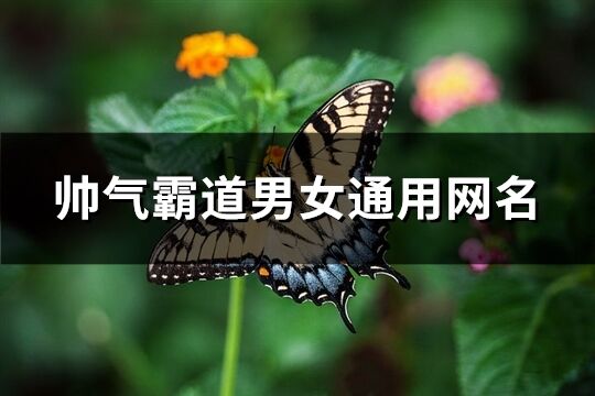 帅气霸道男女通用网名(277个)