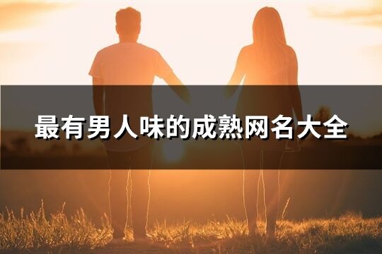 最有男人味的成熟网名大全(优选516个)