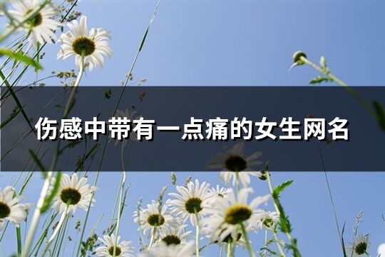 伤感中带有一点痛的女生网名(优选166个)