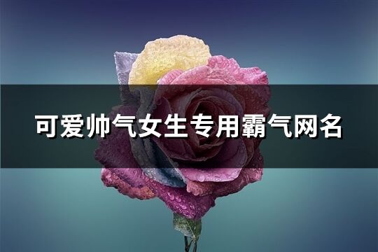 可爱帅气女生专用霸气网名(精选167个)