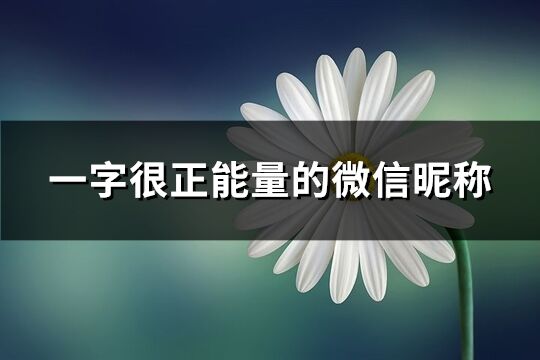 一字很正能量的微信昵称(精选64个)