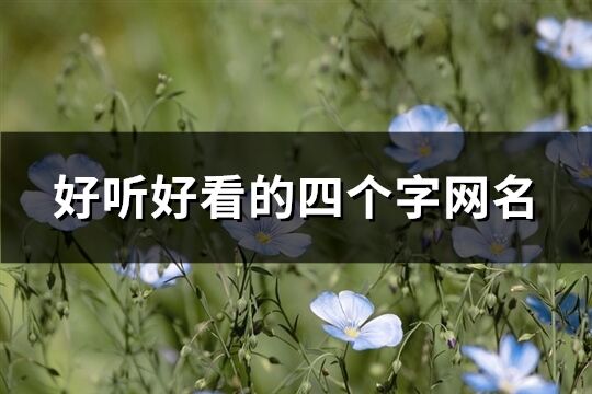 好听好看的四个字网名(共668个)