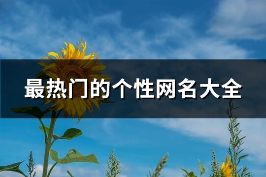 最热门的个性网名大全(共316个)