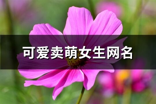 可爱卖萌女生网名(精选103个)