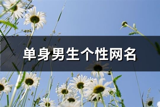 单身男生个性网名(362个)