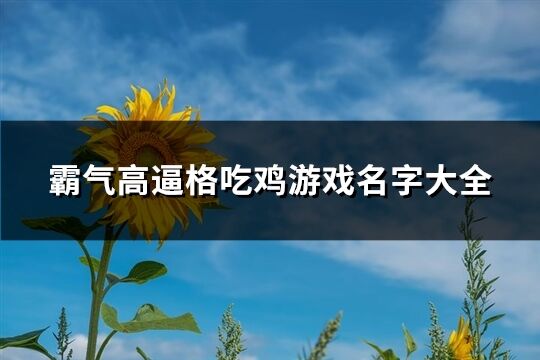 霸气高逼格吃鸡游戏名字大全(574个)