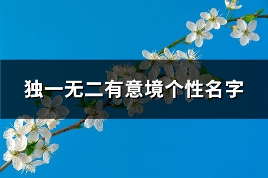 独一无二有意境个性名字(共285个)