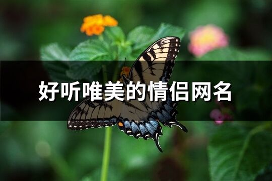 好听唯美的情侣网名(100个)