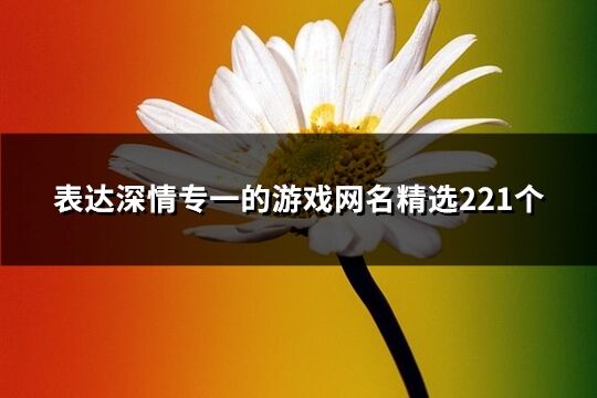 表达深情专一的游戏网名精选221个