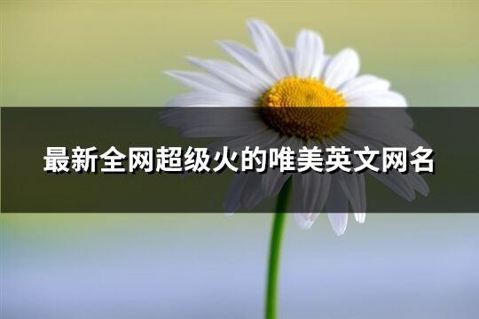 最新全网超级火的唯美英文网名(优选139个)