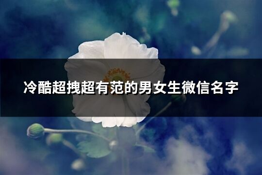 冷酷超拽超有范的男女生微信名字(优选250个)