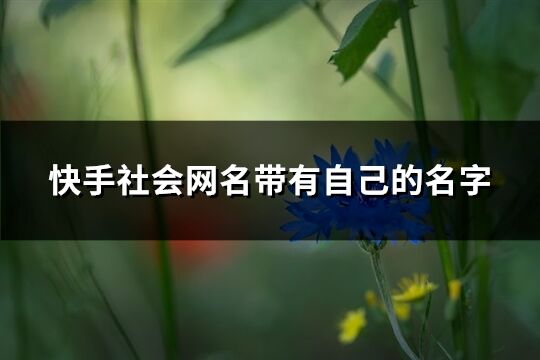 快手社会网名带有自己的名字(优选143个)