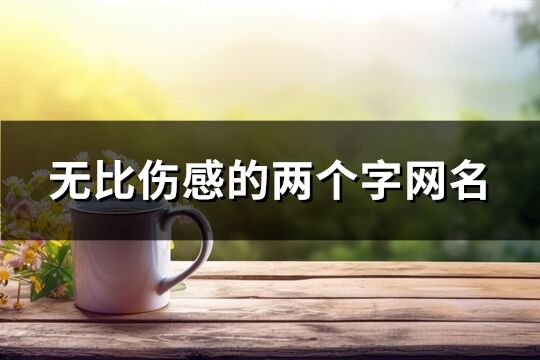 无比伤感的两个字网名(共601个)