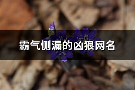 霸气侧漏的凶狠网名(228个)