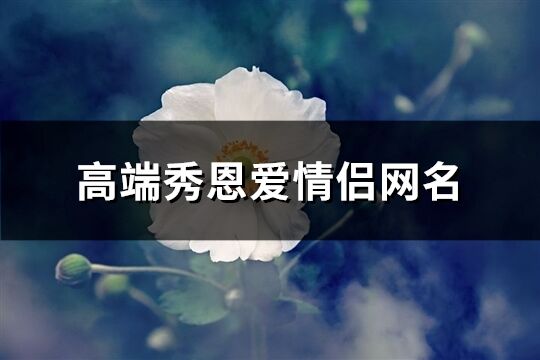 高端秀恩爱情侣网名(优选267个)